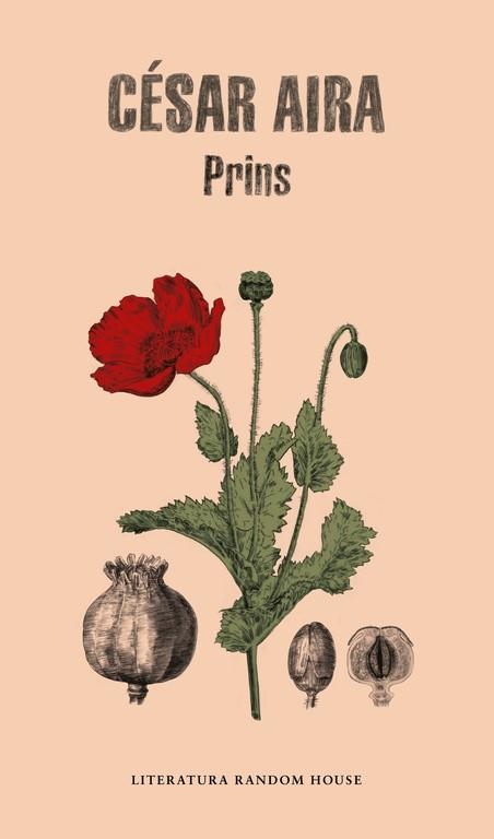 PRINS | 9788439734352 | AIRA, CESAR | Llibreria La Gralla | Librería online de Granollers