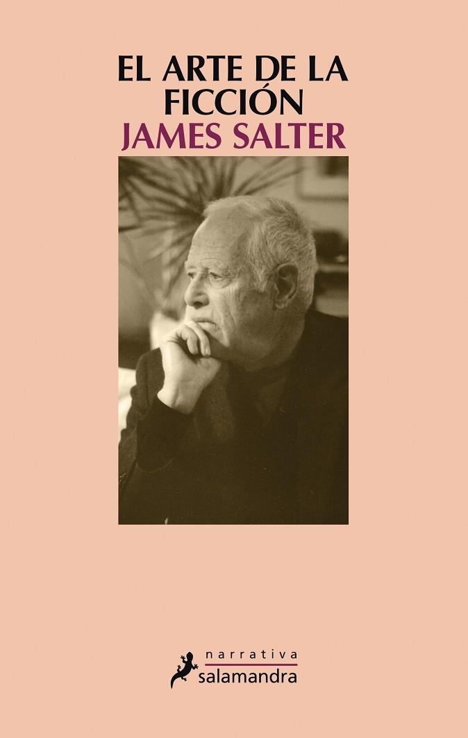 ARTE DE LA FICCIÓN, EL | 9788498388442 | SALTER, JAMES | Llibreria La Gralla | Llibreria online de Granollers