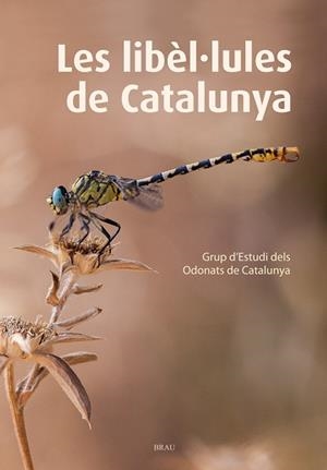 LIBÈL·LULES DE CATALUNYA, LES | 9788415885467 | GRUP D'ESTUDIS DELS ODONATS DE CATALUNYA | Llibreria La Gralla | Librería online de Granollers