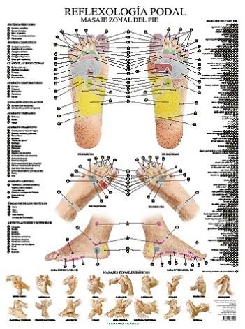 REFLEXOLOGIA PODAL. POSTER TERAPIAS VERDES | 9788416972418 | JIMÉNEZ HERNÁNDEZ, MIGUEL | Llibreria La Gralla | Llibreria online de Granollers