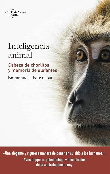 INTELIGENCIA ANIMAL | 9788417114947 | POUYDEBAT, EMMANUELLE | Llibreria La Gralla | Llibreria online de Granollers