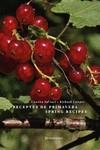 RECEPTES DE PRIMAVERA / SPRING RECIPES | 9788494843105 | COWPER, RICHARD / SAL·LARI, CONXITA | Llibreria La Gralla | Librería online de Granollers