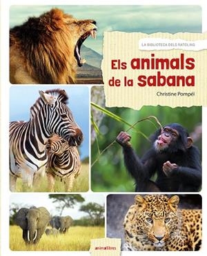ANIMALS DE LA SABANA, ELS | 9788416844524 | POMPÉÏ, CHRISTINE | Llibreria La Gralla | Llibreria online de Granollers
