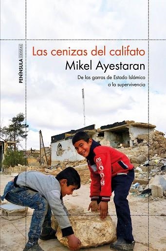 CENIZAS DEL CALIFATO, LAS | 9788499427065 | AYESTARAN, MIKEL | Llibreria La Gralla | Librería online de Granollers