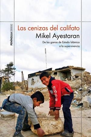 CENIZAS DEL CALIFATO, LAS | 9788499427065 | AYESTARAN, MIKEL | Llibreria La Gralla | Llibreria online de Granollers