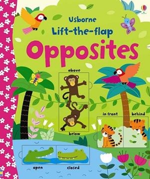 LIFT-THE-FLAP OPPOSITES | 9781409582588 | VVAA | Llibreria La Gralla | Librería online de Granollers