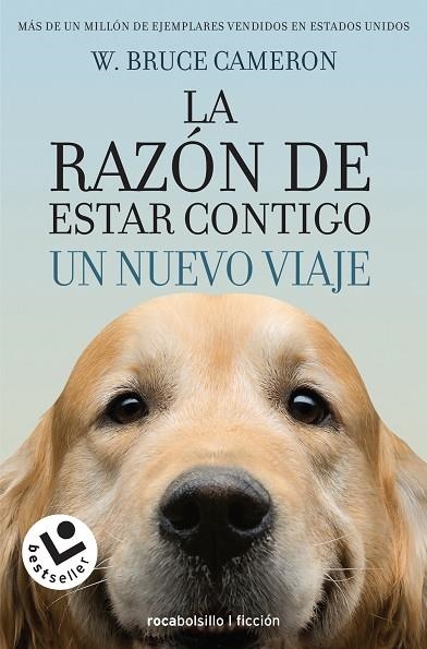 LA RAZÓN DE ESTAR CONTIGO. UN NUEVO VIAJE | 9788416240999 | CAMERON, W. BRUCE | Llibreria La Gralla | Librería online de Granollers