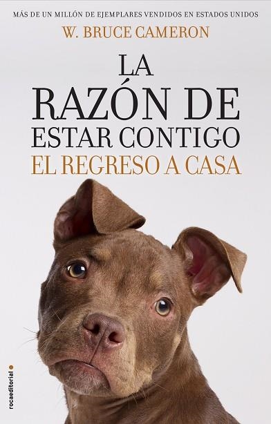 RAZÓN DE ESTAR CONTIGO EL REGRESO A CASA, LA  | 9788417092887 | CAMERON, W. BRUCE | Llibreria La Gralla | Librería online de Granollers
