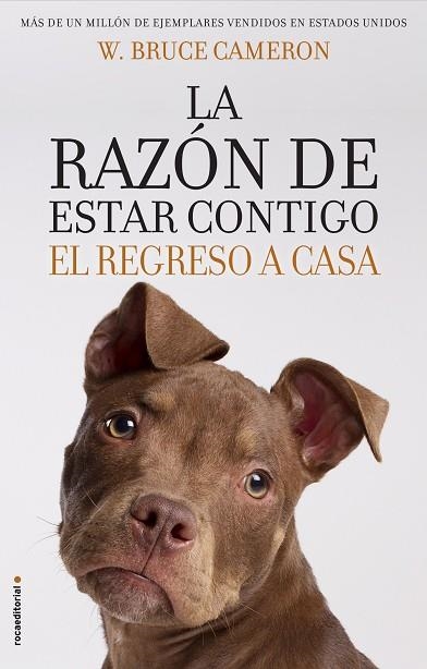 RAZÓN DE ESTAR CONTIGO EL REGRESO A CASA, LA  | 9788417092887 | CAMERON, W. BRUCE | Llibreria La Gralla | Llibreria online de Granollers