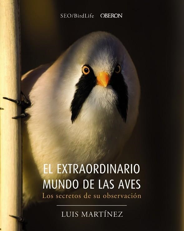 EXTRAORDINARIO MUNDO DE LAS AVES  LOS SECRETOS DE SU OBSERVACIÓN, EL  | 9788441540330 | SOCIEDAD ESPAÑOLA DE ORNITOLOGÍA | Llibreria La Gralla | Llibreria online de Granollers