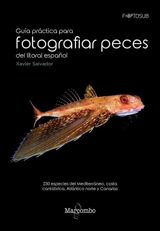 GUÍA PRÁCTICA PARA FOTOGRAFÍAR PECES DEL LITORAL ESPAÑOL | 9788426726315 | SALVADOR, XAVIER | Llibreria La Gralla | Llibreria online de Granollers