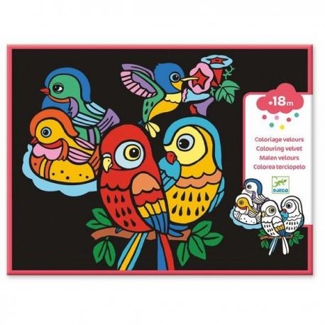 BEBES DE PAJAROS. COLOREA TERCIOPELO | 3070900090996 | DJECO | Llibreria La Gralla | Llibreria online de Granollers