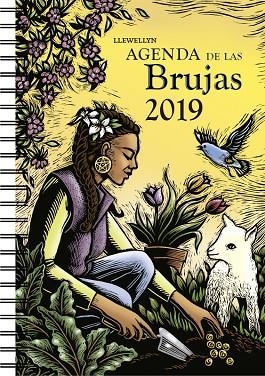 AGENDA 2019 DE LAS BRUJAS | 9788491113652 | LLEWELLYN | Llibreria La Gralla | Librería online de Granollers