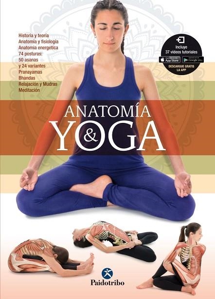 ANATOMÍA & YOGA | 9788499106526 | PATIÑO COLL, MIREIA | Llibreria La Gralla | Librería online de Granollers