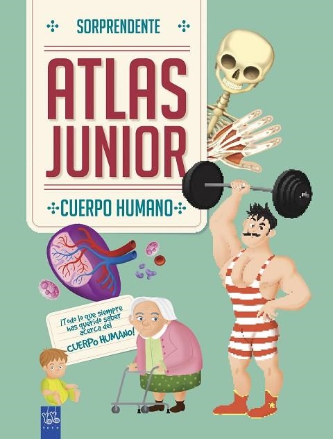 ATLAS JUNIOR CUERPO HUMANO | 9788408184690 | VVAA | Llibreria La Gralla | Llibreria online de Granollers