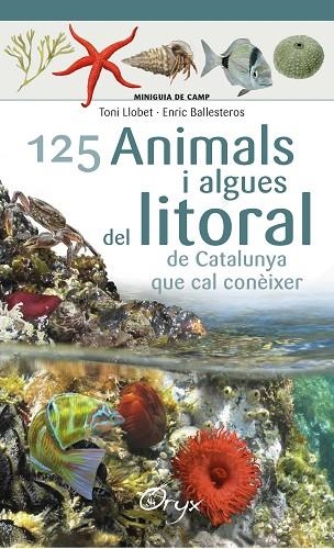 125 ANIMALS I ALGUES DEL LITORAL DE CATALUNYA | 9788490347416 | BALLESTEROS SAGARRA, ENRIC | Llibreria La Gralla | Llibreria online de Granollers