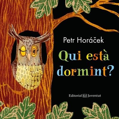 QUI ESTÀ DORMINT? | 9788426145185 | HORÁCEK, PETR | Llibreria La Gralla | Llibreria online de Granollers