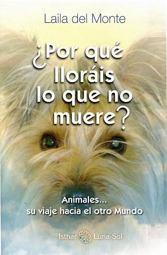 POR QUE LLORÁIS LO QUE NO MUERE | 9788494065842 | MONTE, LAILA DEL | Llibreria La Gralla | Librería online de Granollers