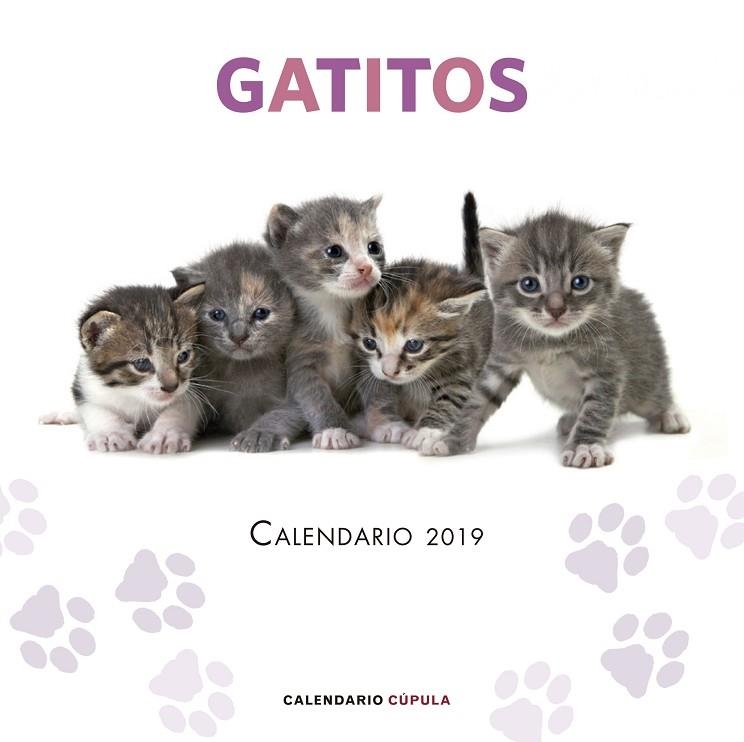 CALENDARIO GATITOS 2019 | 9788448024659 | AA. VV. | Llibreria La Gralla | Librería online de Granollers