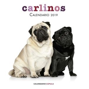 CALENDARIO CARLINOS 2019 | 9788448024680 | AA. VV. | Llibreria La Gralla | Llibreria online de Granollers