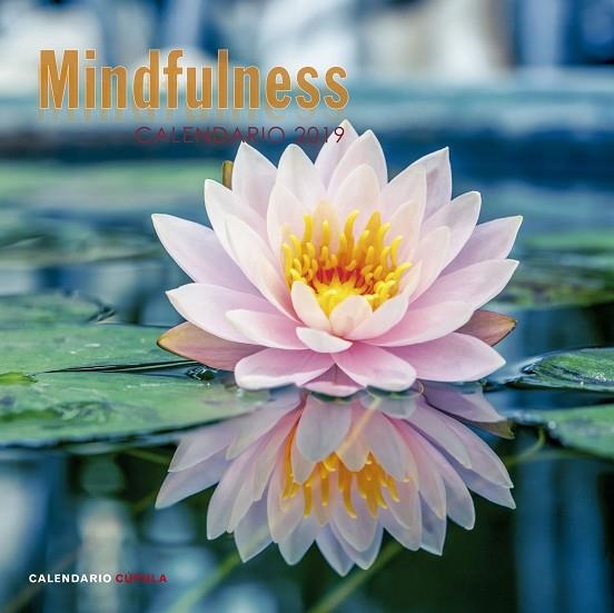 CALENDARIO MINDFULNESS 2019 | 9788448024598 | AA. VV. | Llibreria La Gralla | Llibreria online de Granollers