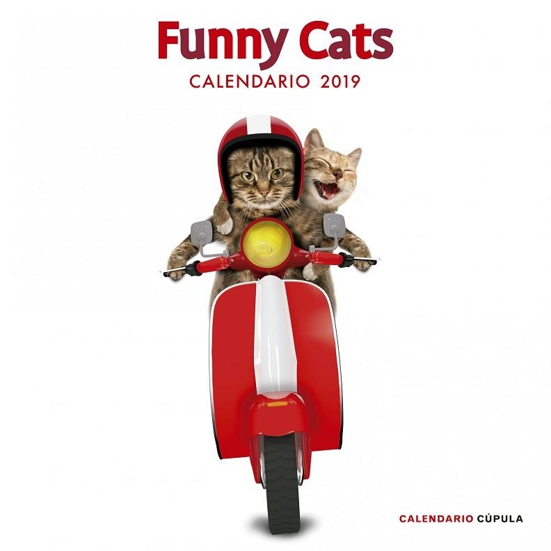 CALENDARIO FUNNY CATS 2019 | 9788448024628 | AA. VV. | Llibreria La Gralla | Llibreria online de Granollers