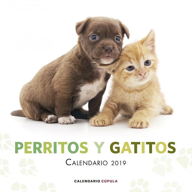 CALENDARIO PERRITOS Y GATITOS 2019 | 9788448024666 | AA. VV. | Llibreria La Gralla | Llibreria online de Granollers