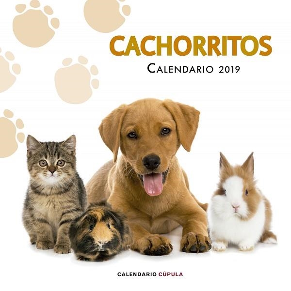 CALENDARIO CACHORRITOS 2019 | 9788448024673 | AA. VV. | Llibreria La Gralla | Llibreria online de Granollers