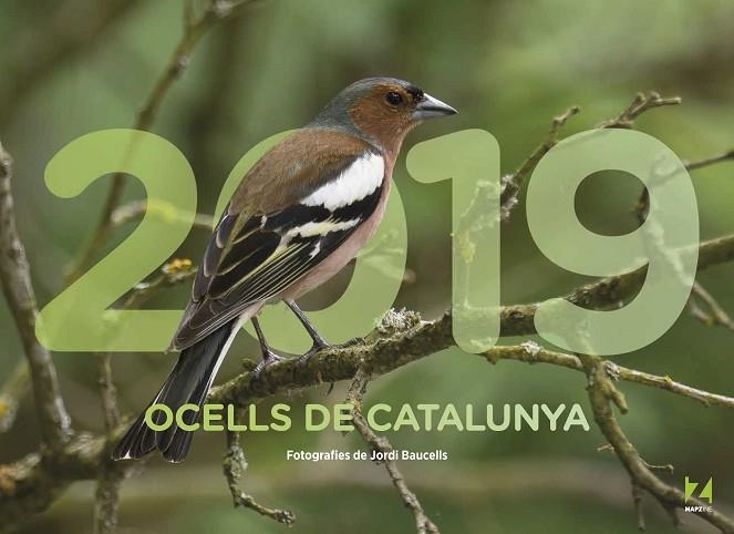CALENDARI 2019 OCELLS DE CATALUNYA | 9788409035465 | MAPZINE | Llibreria La Gralla | Llibreria online de Granollers