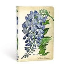AGENDA 2019 - GLICINIA EN FLOR - SEMANA VISTA HORIZONTAL | 9781439752005 | Llibreria La Gralla | Llibreria online de Granollers
