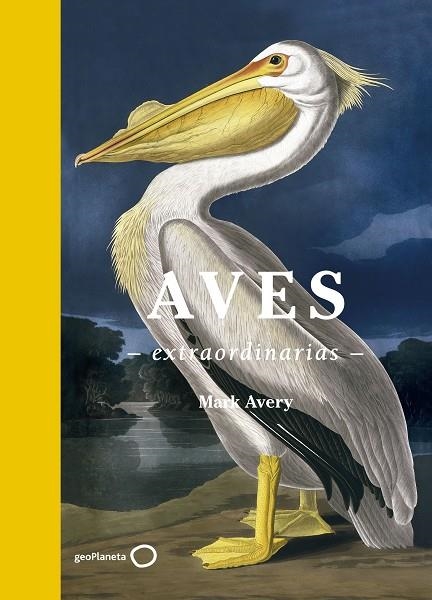 AVES EXTRAORDINARIAS | 9788408181477 | AVERY, MARK | Llibreria La Gralla | Llibreria online de Granollers