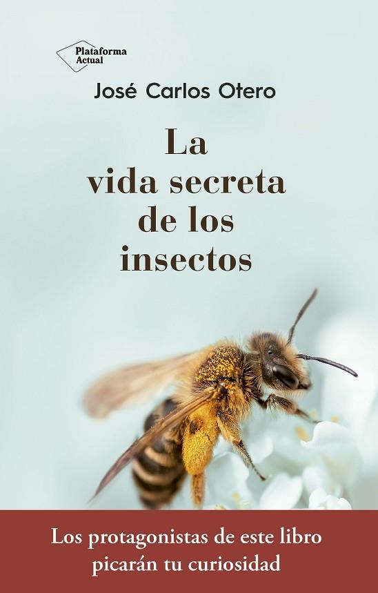 VIDA SECRETA DE LOS INSECTOS, LA | 9788417376789 | OTERO GONZÁLEZ, JOSÉ CARLOS | Llibreria La Gralla | Librería online de Granollers