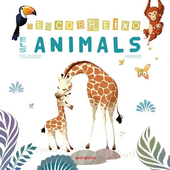 DESCOBREIXO ELS ANIMALS | 9788416844869 | PELISSIER, JÉRÔME; HINDER, CARINE | Llibreria La Gralla | Librería online de Granollers