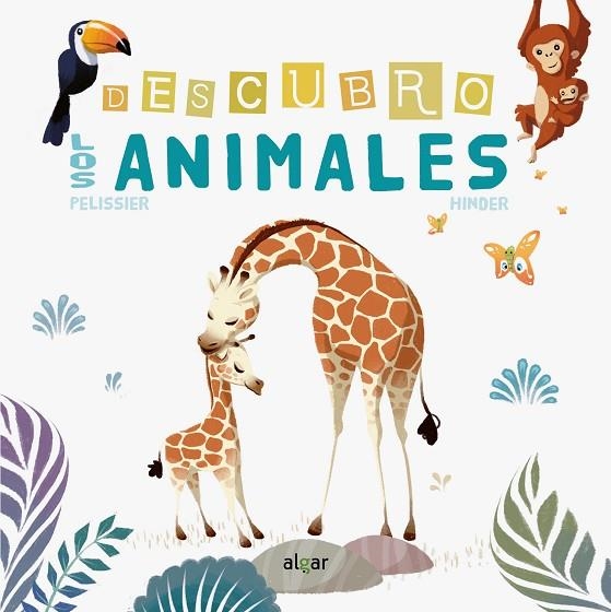 DESCUBRO LOS ANIMALES | 9788491422082 | PELISSIER, JÉRÔME; HINDER, CARINE | Llibreria La Gralla | Librería online de Granollers