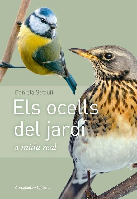 OCELLS DEL JARDÍ, ELS | 9788490347461 | STRAUß, DANIELA | Llibreria La Gralla | Llibreria online de Granollers