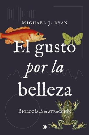 GUSTO POR LA BELLEZA, EL  | 9788494886003 | RYAN, MICHAEL J. | Llibreria La Gralla | Llibreria online de Granollers