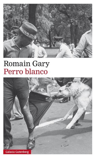 PERRO BLANCO | 9788417355586 | GARY, ROMAIN | Llibreria La Gralla | Llibreria online de Granollers
