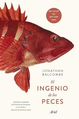 INGENIO DE LOS PECES, EL  | 9788434429383 | BALCOMBE, JONATHAN | Llibreria La Gralla | Librería online de Granollers