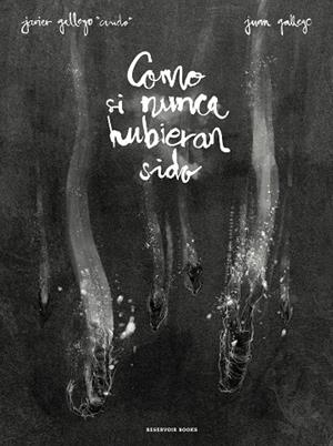 COMO SI NUNCA HUBIERAN SIDO | 9788417511036 | GALLEGO, JAVIER; GALLEGO, JUAN | Llibreria La Gralla | Llibreria online de Granollers