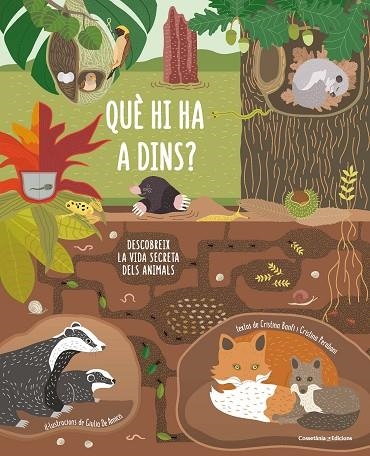 QUÈ HI HA A DINS? | 9788490347607 | BANFI BANFI, CRISTINA/PERABONI PERABONI, CRISTINA | Llibreria La Gralla | Librería online de Granollers