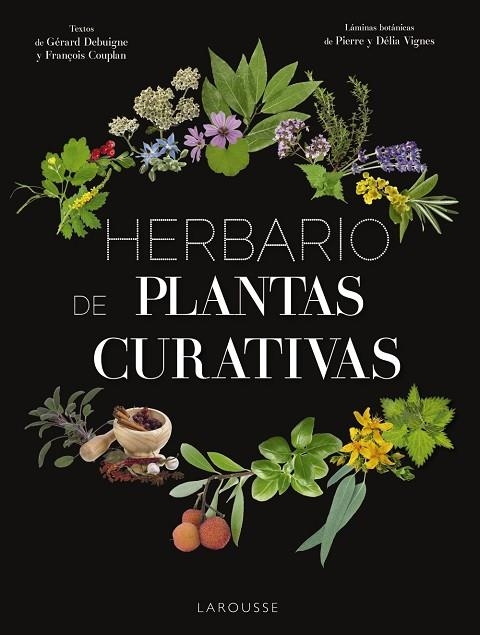 HERBARIO DE PLANTAS CURATIVAS | 9788417273415 | LAROUSSE EDITORIAL | Llibreria La Gralla | Llibreria online de Granollers