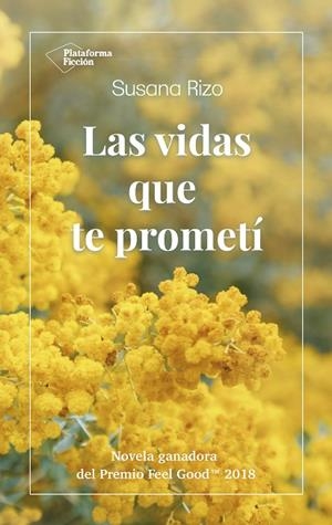 VIDAS QUE TE PROMETÍ, LAS | 9788417622022 | RIZO, SUSANA | Llibreria La Gralla | Llibreria online de Granollers