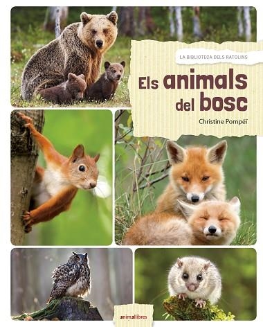 ANIMALS DEL BOSC, ELS | 9788417599027 | POMPEÏ, CHRISTINE | Llibreria La Gralla | Llibreria online de Granollers