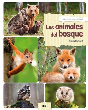 ANIMALES DEL BOSQUE, LOS  | 9788491421573 | POMPEÏ, CHRISTINE | Llibreria La Gralla | Llibreria online de Granollers