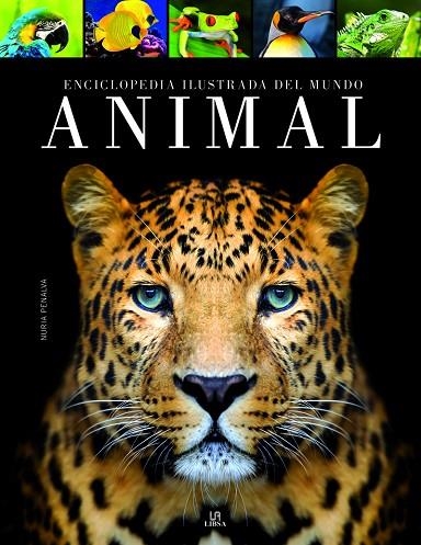 ENCICLOPEDIA ILUSTRADA DEL MUNDO ANIMAL | 9788466238045 | PENALVA COMENDADOR, NURIA | Llibreria La Gralla | Librería online de Granollers