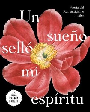 UN SUEÑO SELLÓ MI ESPÍRITU | 9788439735328 | VVAA | Llibreria La Gralla | Librería online de Granollers