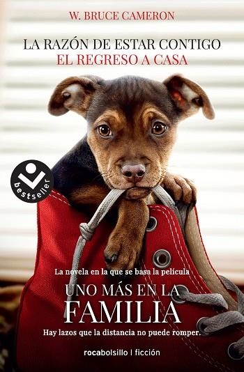 RAZÓN DE ESTAR CONTIGO, LA  EL REGRESO A CASA | 9788416859351 | CAMERON, W. BRUCE | Llibreria La Gralla | Llibreria online de Granollers