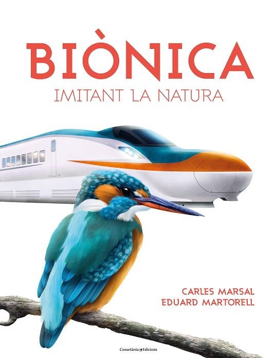 BIÒNICA | 9788490347829 | MARTORELL I SABATÉ , EDUARD/MARSAL CERVANTES, CARLES | Llibreria La Gralla | Librería online de Granollers