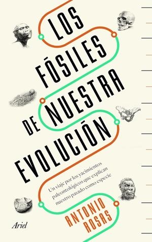 FÓSILES DE NUESTRA EVOLUCIÓN, LOS | 9788434429642 | ROSAS, ANTONIO | Llibreria La Gralla | Librería online de Granollers