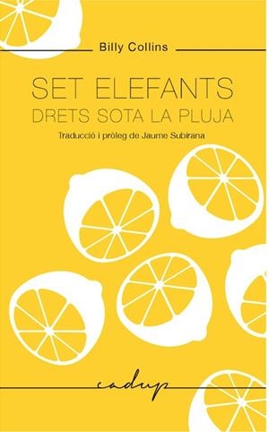 SET ELEFANTS DRETS SOTA LA PLUJA | 9788494943218 | COLLINS, BILLY | Llibreria La Gralla | Llibreria online de Granollers
